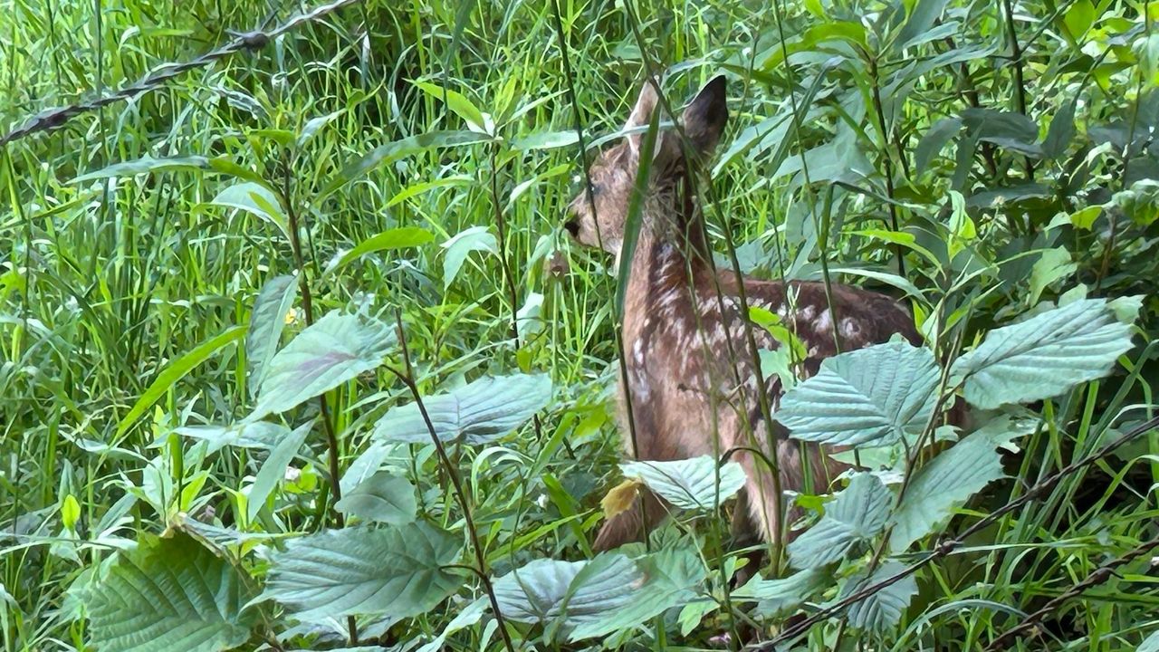 Landschaft Landschaft